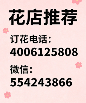 济宁金乡县花店哪家好