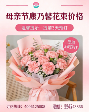 济宁金乡县花店母亲节康乃馨花束