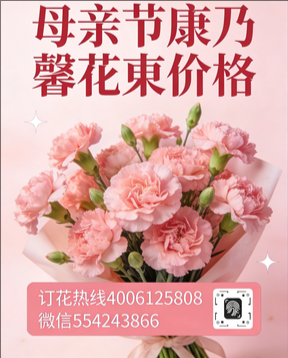 济宁金乡县花店母亲节康乃馨花束